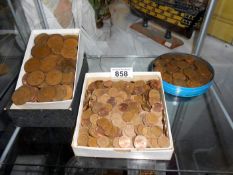 A shelf of coins