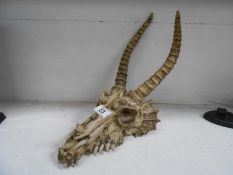 A Game of Thrones style dragon skull