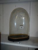 A Victorian oval glass dome in good condition