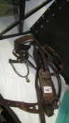 Pair of GPO telegraph pole climbing spikes and a pair of stirrups