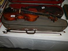 A German violin with 2 bows in distressed case