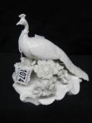 A Royal Crown Derby un-named white peacock