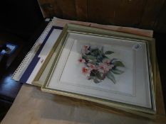 Portfolio of watercolours including flower paintings together with 2 framed watercolours