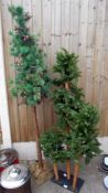 2 Christmas trees