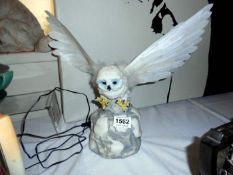 An owl light