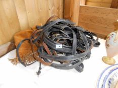 A quantity of horse harnesses