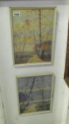 A pair of watercolours of silver birch trees, circa 1960/70's, signed J T Midgley,