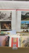 In excess of 240 modern postcards in album and loose including Disney, wildlife,