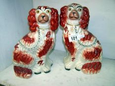 Pair of Staffordshire spaniels a/f