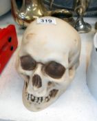 A resin full size human skull