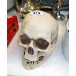 A resin full size human skull