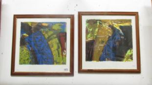 A pair of abstract lithographs, limited edition of 220, dated 1999,