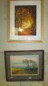 2 framed and glazed prints