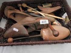 A tray of wooden shoe stretchers