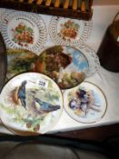 A quantity of collectors plates (6)