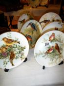 6 Coalport collectors plates of Birds