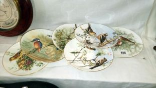 6 Coalport bird plates