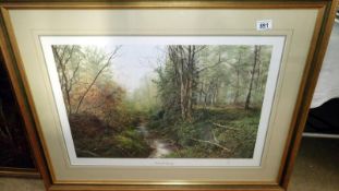A framed and glazed limited edition print Natural Spring