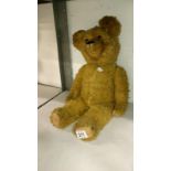 An early 20th century straw filled teddy bear