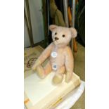 A boxed Steiff 1908 rose teddy bear,