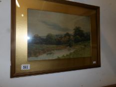 A framed & glazed water colour of sheep grazing