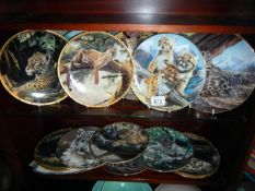 A collection of collectors plates mainly wild cats