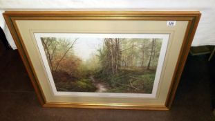 A framed & glazed signed artist proof print entitled Natural Spring