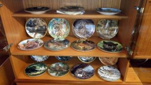 A quantity of collectors plates featuring wild cats