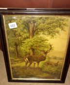 A framed & glazed picture of a stag (frame A/F)