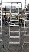 An aluminium step ladder