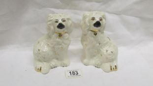 A pair of small Staffordshire spaniels