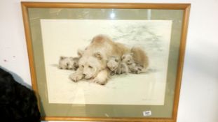 A framed and glazed polar bear print