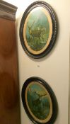 A pair of oval framed and glazed stag prints