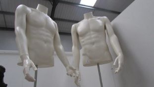 A pair of male torso mannequins