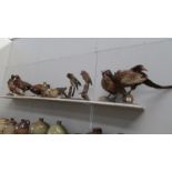 A quantity of taxidermy birds including pheasants, 2 jays,