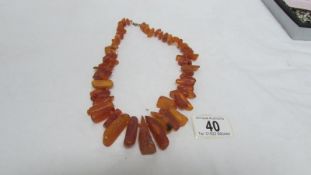 A large natural yellow amber necklac