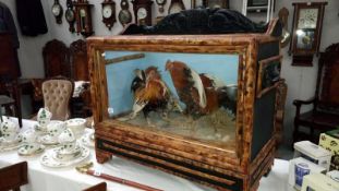 Taxidermy - a pair of fighting cocks in bamboo case
