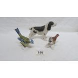 An Aynsley spaniel and 2 Goebel birds