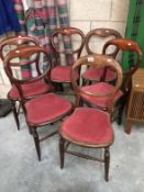 A set of 6 balloon back dining chairs