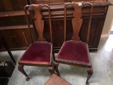 A pair of Edwardian high back chairs with Queen Anne legs