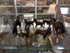 A quantity of horses