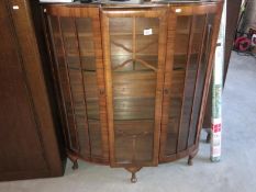 A 1950s bowed display cabinet