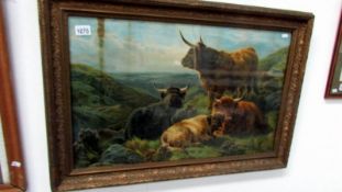 A framed and glazed highland cattle print