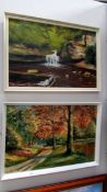 2 oil paintings on board 'Waterfall' and 'Forest Path', both signed