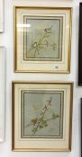 A pair of framed and glazed watercolours 'Wild Birds on Hawthorn', David Andrews