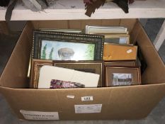 A large box of pictures etc.