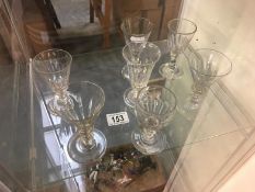 7 early Victorian glasses (6 trumpet shaped)