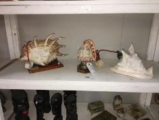 2 conch shell lamps