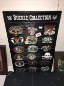 A mounted buckle collection including Jack Daniels