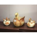 A set of graduated Swan planters